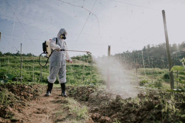 Best Best Pest Control Companies  in Mechanicville, NY