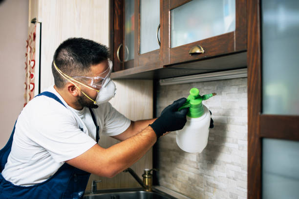 Best Termite Control Services  in Mechanicville, NY