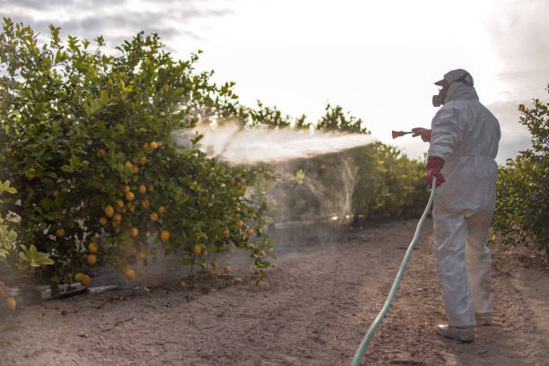 Flea Control Services in Mechanicville, NY