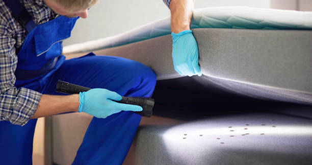 Best Affordable Pest Control Services  in Mechanicville, NY