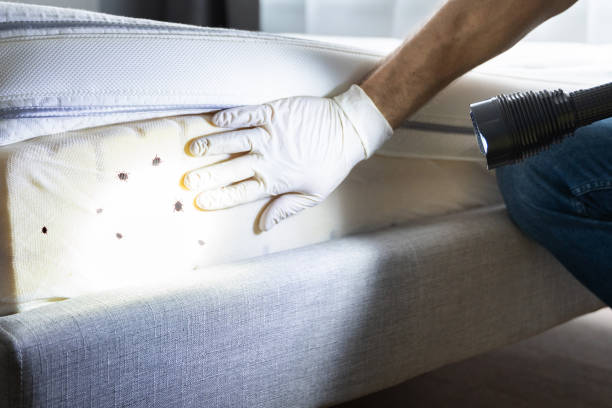 Best Wildlife Control Services  in Mechanicville, NY