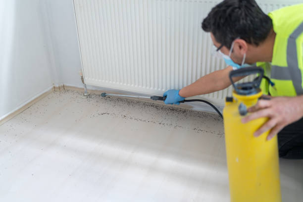 Best Cockroach Control Services  in Mechanicville, NY