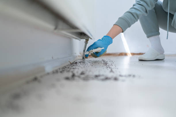 Best Insect Control  in Mechanicville, NY