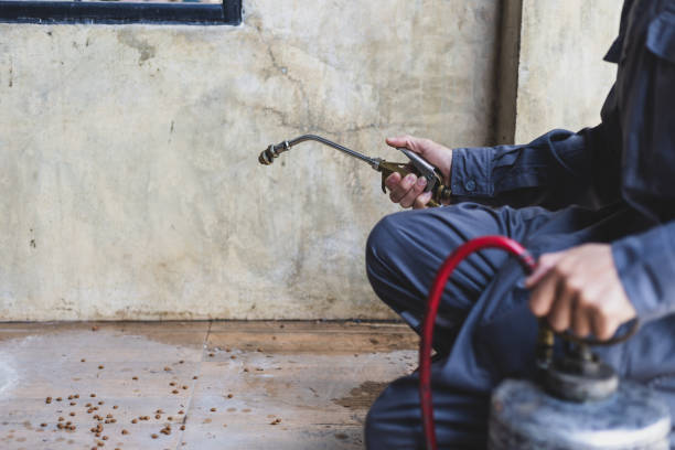 Best Exterminator Services  in Mechanicville, NY